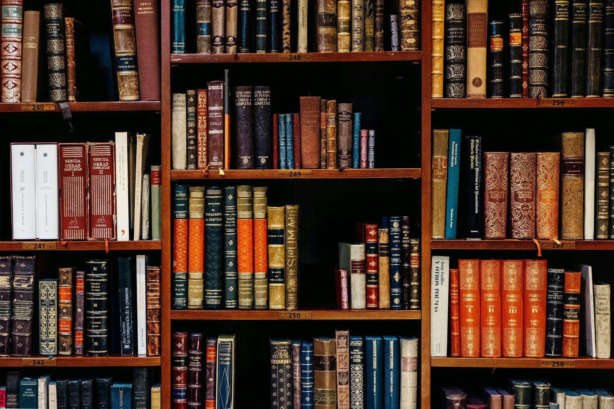 Tall wooden shelves filled with old books